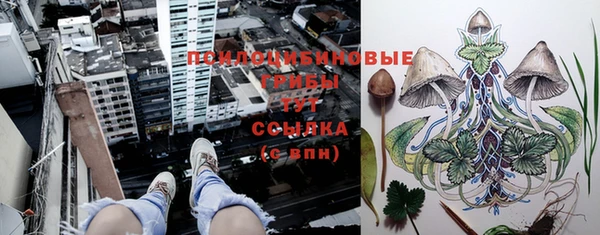 mix Медногорск