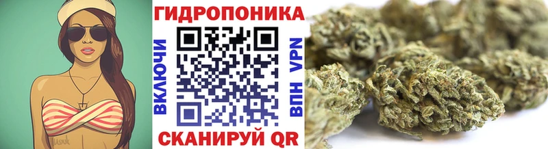 Конопля планчик  Купить где  Шарыпово 